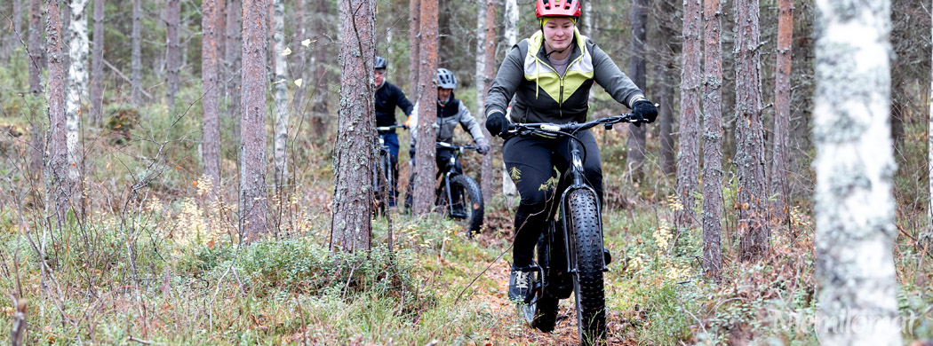 Niemilomat luontoretki sähköpyörällä