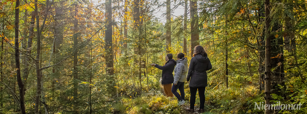 Independent tours around the Niemilomat terrains